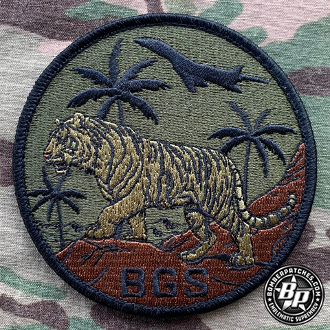 37th Bomber Generation Squadron, B1