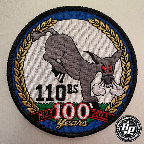 110th Bomb Squadron 100th Anniversary, B-2 Spirit Color