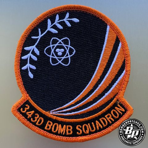 343d Bomb Squadron, Color