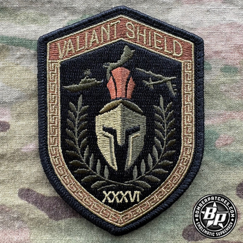 36th Wing, Valiant Shield 2024, OCP