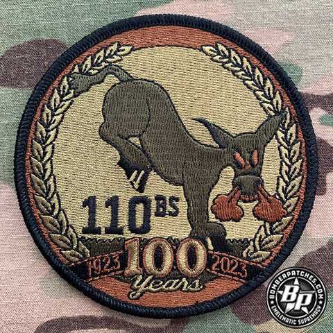 110th Bomb Squadron 100th Anniversary, B-2 Spirit OCP