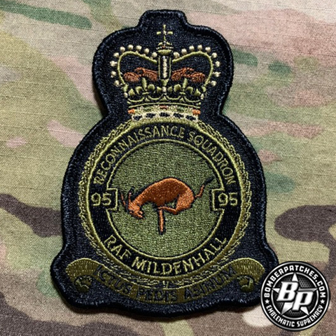95th Reconnaissance Squadron Crest,  OCP