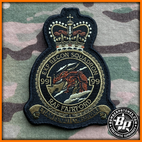 99 Expeditionary Reconnaissance Squadron Crest OCP