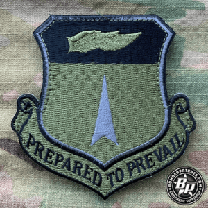 36th Wing PACAF Subdued