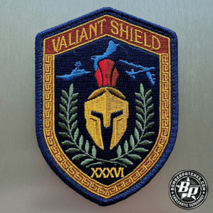 36th Wing, Valiant Shield 2024, Color