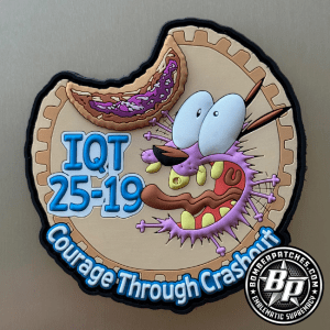 29th Attack Squadron MQ-9 IQT 25-19