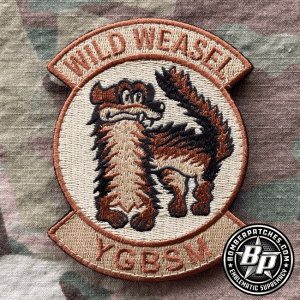 79th Expeditionary Fighter Squadron Wild Weasel, F-16
